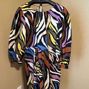 Leopard Multi Colored Dress